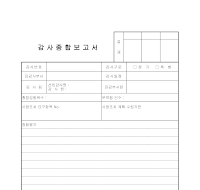 감사종합보고서 감사종합보고서